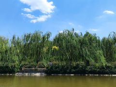 -南翠屏公园