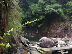 -花岩国家森林公园