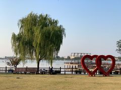 -鹅湖玫瑰文化园