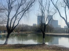 -白塘生态植物园