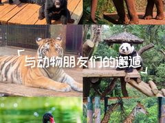 -海南热带野生动植物园