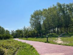 -马家湾湿地公园