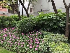 -上海市虹口区教育学院实验中学