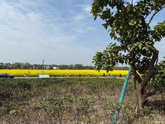 -中国天府农业博览园