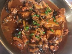 红烧甲鱼-粤秀小厨·广式早茶(辽宁路店)