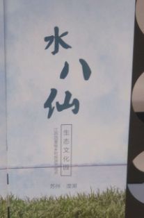 -水八仙生态园