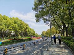 -武汉大学-樱园