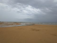 -日照海滨国家森林公园