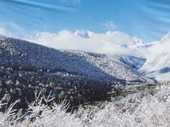 -玉龙雪山游客服务中心