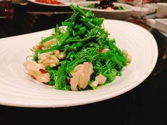 南瓜苗拌桃仁-徐记海鲜(大明宫|北二环店)