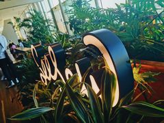 -Seesaw Coffee(朝阳大悦城店)