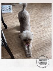-JERRY日式美甲美睫纹绣工坊