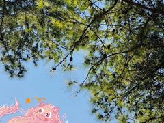 -美兰湖景区
