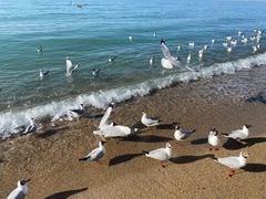 -青海湖二郎剑景区