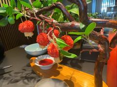 -唐猫庭院·千年陕菜(赛格国际购物中心店)