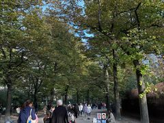 -埃菲尔铁塔