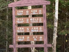 -五营红松林海景区