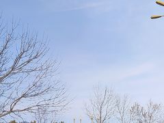 -敕勒川草原