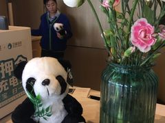 -都江堰中心国际酒店