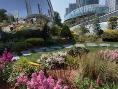 -北外滩滨江绿地