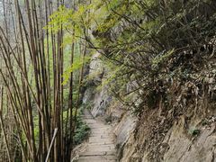 -重庆雨台山风景区