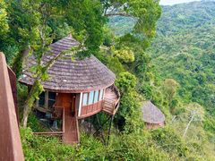 -三亚亚龙湾人间天堂鸟巢度假村