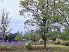 -浙江农林大学(东湖校区)