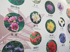 -北京中医药大学-中医药博物馆