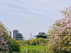 -海珠湖公园