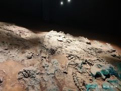 -世界恐龙谷景区