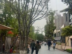 -铁像寺水街
