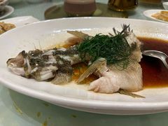 清蒸石斑鱼-顺风海鲜港(长寿路店)