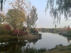 -东郊湿地公园