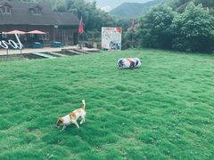 -宁波浙东大竹海景区