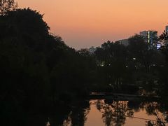 -云溪植物园