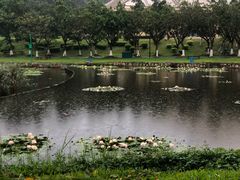 -北京师范大学(珠海校区)