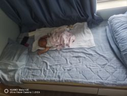 -东方爱堡国际母婴会所(廊坊首店广阳店)