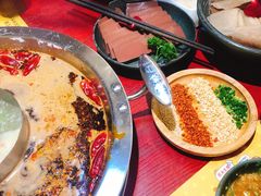-谭鸭血老火锅(七宝万科广场店)