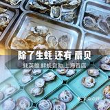 【蚝英雄】人均100多，实现生蚝自由！
