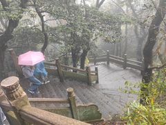 -普陀山风景名胜区-法雨禅寺