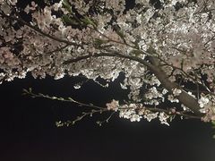 -幕燕滨江·燕子矶公园
