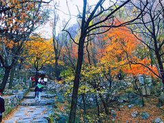 -北京鹫峰国家森林公园