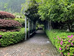 -故乡缘·香格里拉山庄(冷竹路店)
