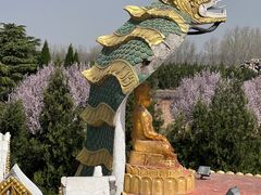 -洛阳白马寺