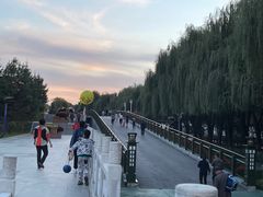 -江心岛