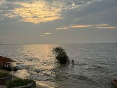 -巢湖姥山岛