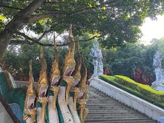 -西双版纳勐泐文化旅游区