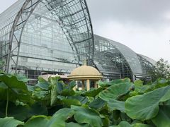 -南山植物园