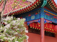 -天津市峰山药王古寺