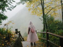 -九峰山